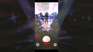 I was really caught by surprise with this one pokemon shinypokemon sentret shinypokemongo shiny [upl. by Snodgrass404]