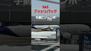 SAS スカンジナビア航空Airbus A3501041 羽田空港 airbus350 shorts [upl. by Putnam]