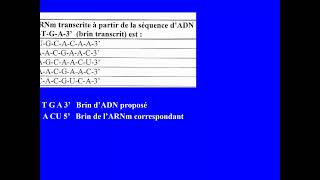 Concours 2021  vidéo 1 daccès aux fac de médecine et de pharmacie Maroc [upl. by Noseyt]