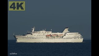 OCEAN MAJESTY  Shipspotting Germany 🇩🇪 IMO 6602898  Kieler Förde near City Laboe  4K VIDEO [upl. by Assirram]