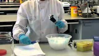 How to Perform a Polymerase Chain Reaction  William Armour amp Laura Towns [upl. by Aninaj]