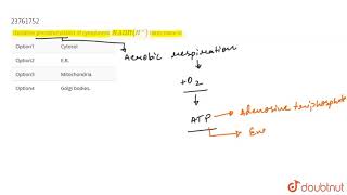 Oxidative phosphorylation of cytoplasmic NADHH takes place in [upl. by Dnalsor]