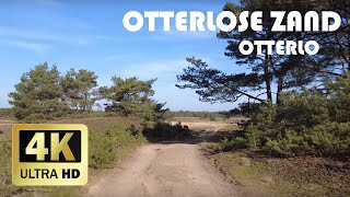 Otterlose Zand Otterlo  Winter 2021  4K [upl. by Sig]