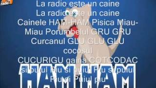 Puiul Piu lyrics romana [upl. by Khajeh]