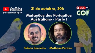 Mutações dos Periquitos Australianos  Parte I [upl. by Milburt]