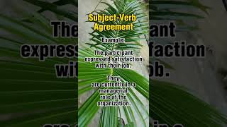 SubjectVerb Agreement Rule numbers 13 [upl. by Gnohp]