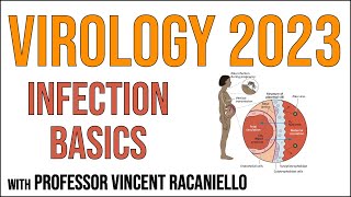 Virology Lectures 2023 12 Infection basics [upl. by Reehsab]