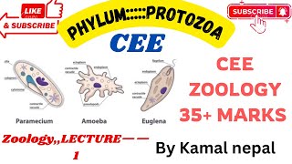 Phylum Protozoa  Cee zoology by Kamal Nepal sir with best notes ever and various stories [upl. by Nrubua]