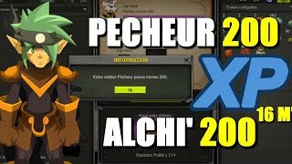 DOFUS 247  JE MONTE PECHEUR ET ALCHIMISTE 200 EN 16 MINUTES [upl. by Annahgiel]