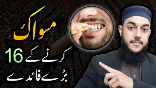 Miswak Karne Ke 16 Fayde  Miswak Karne Ki Fazilat  16 Benefits of Miswaak [upl. by Benildis]