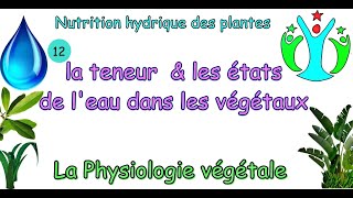 la teneur et les états de leau dans les végétauxla diffusion osmotique physiologie végétale S4 [upl. by Tilford]