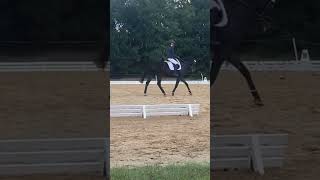 Novice test B 32 eventing turnitup bmecitsyourmove dressage hardwork [upl. by Munt]