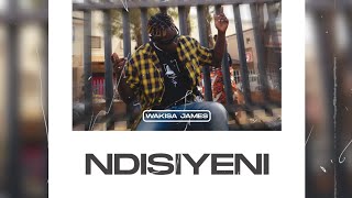 Wakisa James  Ndisiyeni Visualizer [upl. by Christopher]