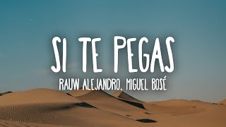 Rauw Alejandro x Miguel Bose  SI TE PEGAS LetraLyrics [upl. by Anivlis399]