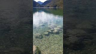 🇩🇪😍 Crystal clear Alpsee lake in Schwangau bavaria alpsmountains germany [upl. by Bergman323]