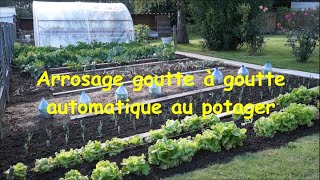 Arrosage goutte à goutte automatique au potager installation fonctionnement conseils [upl. by Rudelson]