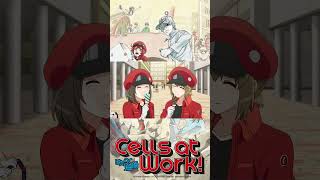 Dextrose Cells at Work [upl. by Maddock]