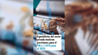 Especialistas del sector privado moderan previsiones para el PIB a 145 para el 2024 [upl. by Florri]