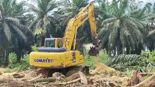 Mulcher  Pencegahan Ganoderma dan Oryctes di Perkebunan Kelapa Sawit [upl. by Nichy]