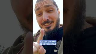 Vaccin  Fautil sortir son chiot [upl. by Lunneta]