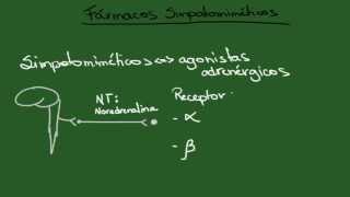 Agonistas Adrenérgicos Simpatomiméticos  Resumo  Farmacologia [upl. by Levesque]