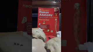 Anatomy head neck card viva question [upl. by Jordan375]