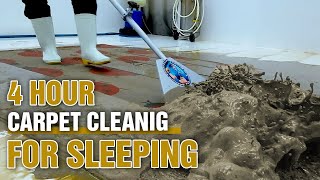 ASMR Carpet Cleaning for Deep Sleep  Say Goodbye To Sleepless Nights  Deep Sleep [upl. by Belford869]