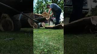 Chainsaw Stihl MS660 Sawing up a Dangerous Storm Damaged Tree shorts chainsaw firewood [upl. by Glover]