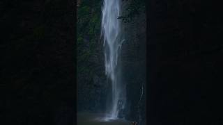 Khandadhar waterfall shorts waterfall monsoon keonjhar nature explore travel ytshorts [upl. by Imac]