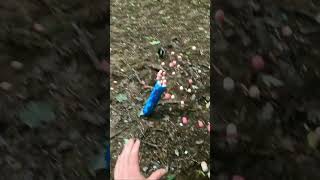 Throwing pods usually goes poorly scenariopaintball paintball planeteclipsepaintball funny [upl. by Rorie]