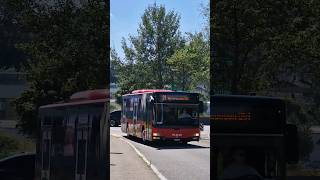 Bern Niederwangen Bus automobile travel bus train art anime bgmi bhojpuri comedy [upl. by Venetia927]