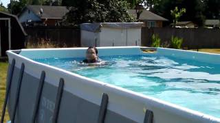 Intex Swimming Pool HD [upl. by Oriane]