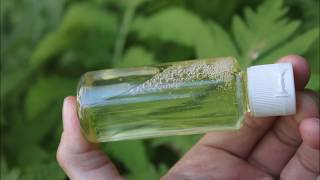 Making Liquid Glycerin Soap [upl. by Honig]