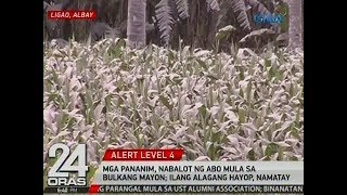 24 Oras Mga pananim nabalot ng abo mula sa bulkang Mayon ilang alagang hayop namatay [upl. by Viridissa668]