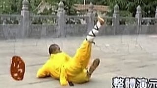 Shaolin Kung Fu Combat Styles 13 plumblossom form 梅花拳 mei hua quan [upl. by Edora383]