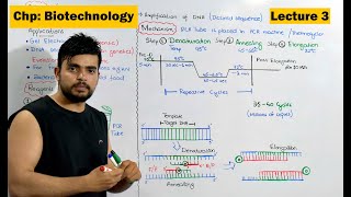 PCR  Polymerase Chain Reaction  Video 3 [upl. by Yrek318]