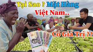 Công Giáp  Người Dân Châu Phi Há Hốc  Tại Sao Mặt Hàng Việt Nam Luôn Có Giá Trị Kinh Tế Cao [upl. by Desta]