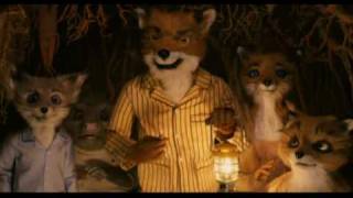 MR FOX SHORSITO BLANCO OFFICIAL VIDEO [upl. by Nesrac77]