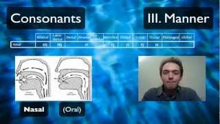 Pronunciation Tutorial 2 English Pronunciation and IPA Manner [upl. by Ming]