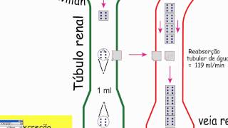 Clearance Renal de Inulina  Parte 1 [upl. by Lidda414]