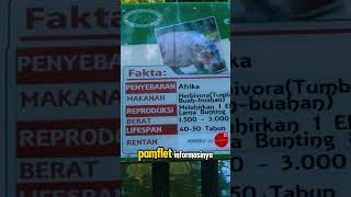 Taman hewan siantar automobile travel fypシ゚viral tamanhewan [upl. by Popper]