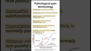 Pathological pain terminology [upl. by Names736]