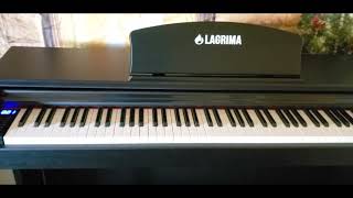 LAGRIMA LG803 88Key Weighted Hammer Action Digital Piano Review [upl. by Yremogtnom]