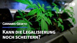 CannabisGesetz Kann die Legalisierung noch scheitern  AFP [upl. by Oettam19]