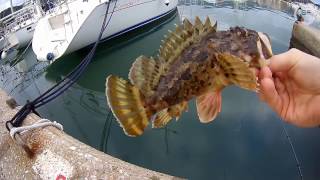 Rockfishing en corse n°III [upl. by Nyliak319]