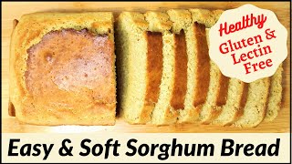 GlutenFree and LectinFree Sorghum Bread Jowar Bread Quick Healthy amp Delicious [upl. by Hayidan527]