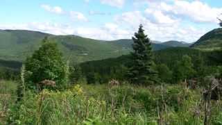 Le sentier du Mont ErnestLaforce  Rencontre avec un orignal  Gaspésie  Québec [upl. by Jeraldine968]