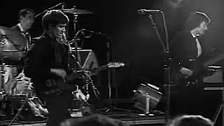 Wilko Johnson  Back In The Night Single Great [upl. by Athalla]