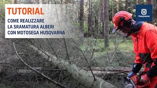 Lavorare con la motosega  Tutorial Sramatura Alberi [upl. by Retxed]