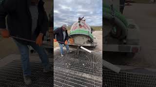 Unforgettable Showdown Big Tex vs The Septic Pump Trailer 💩 satisfying fyp viral [upl. by Atteselrahc]